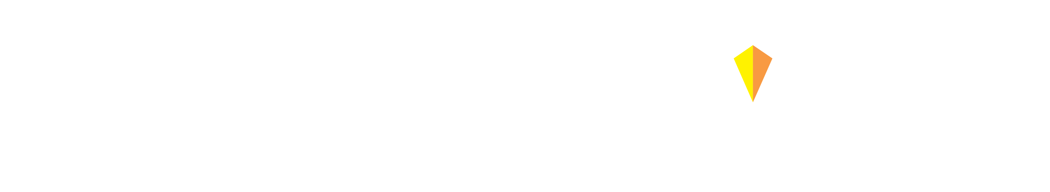 Prism Vision Group logo